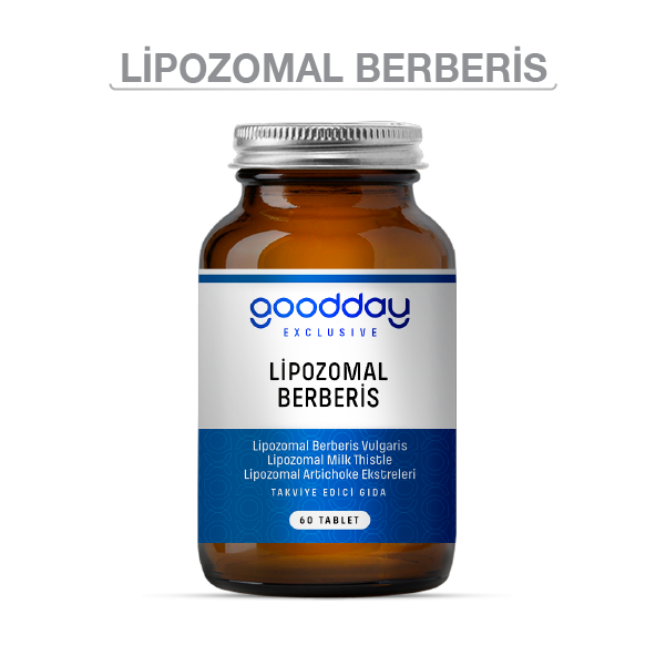 lipozomal-berberis-sise-1-1 ليبوزومال بربريس – 60 قرص - الصورة 1